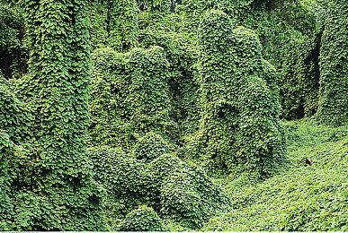 《中国式网游》新品节试玩demo正式开启！